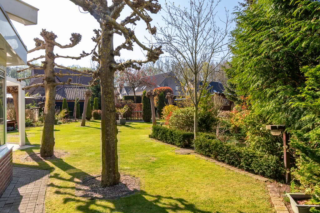 Photo 40 of Klaver 6