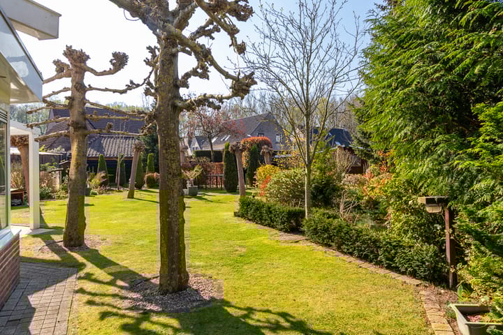 Foto 40 van Klaver 6