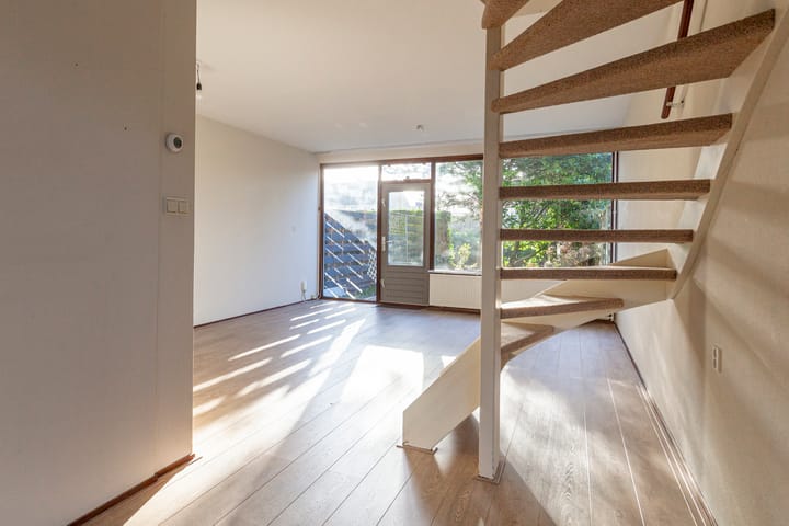 Foto 9 van Palestrina 12