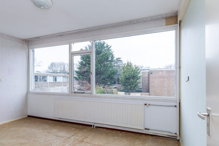 Foto 13 van Palestrina 12