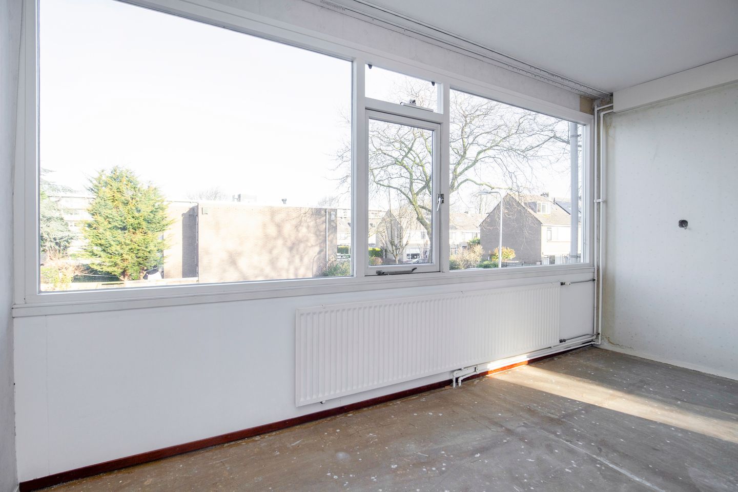 Foto 14 van Palestrina 12