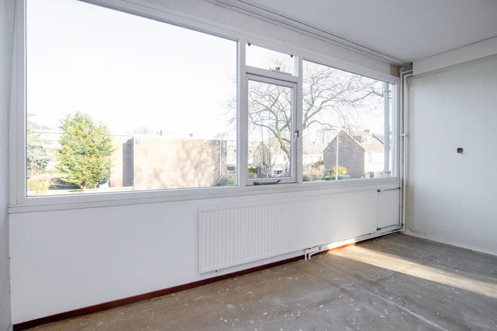 Foto 14 van Palestrina 12