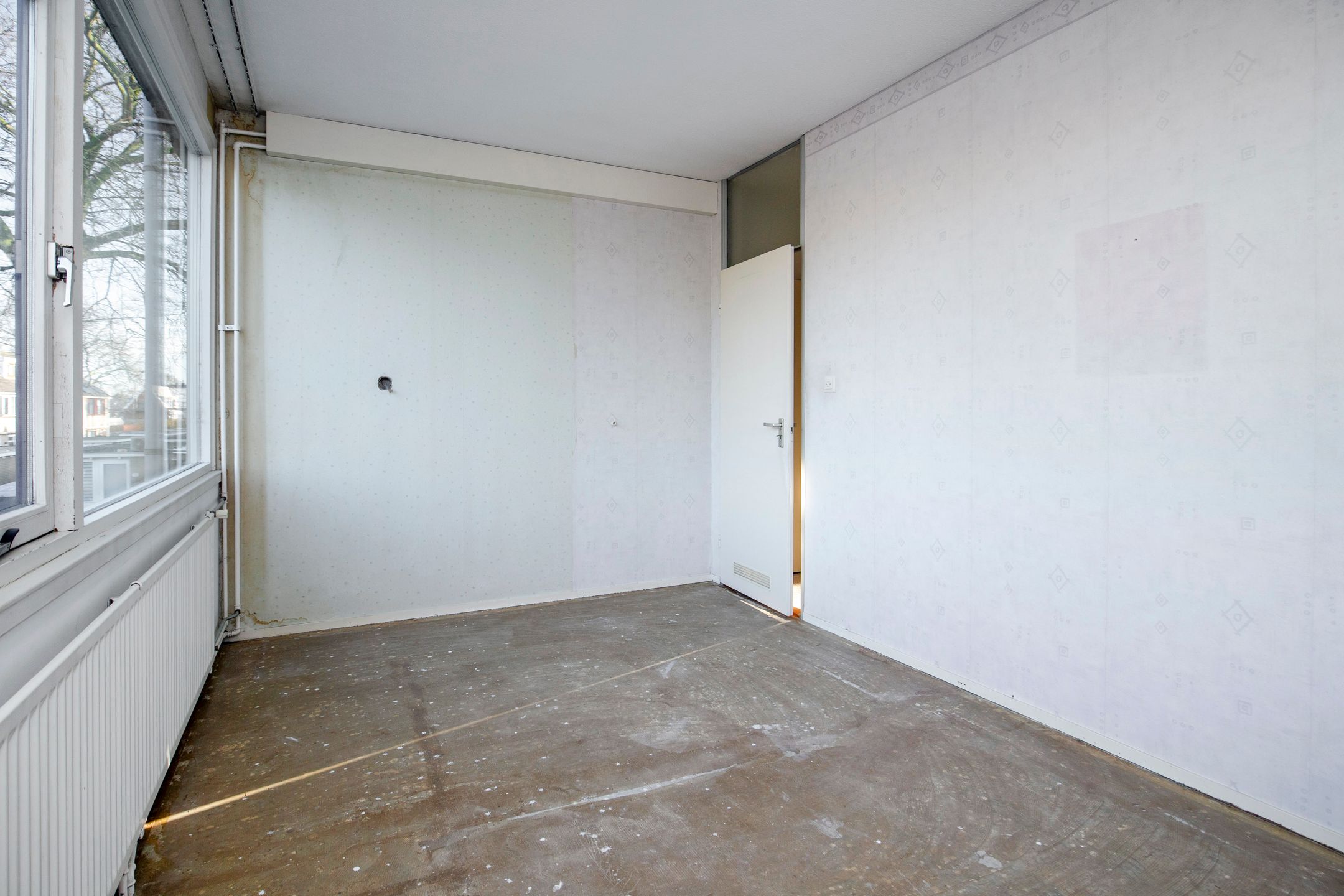 Foto 15 van Palestrina 12