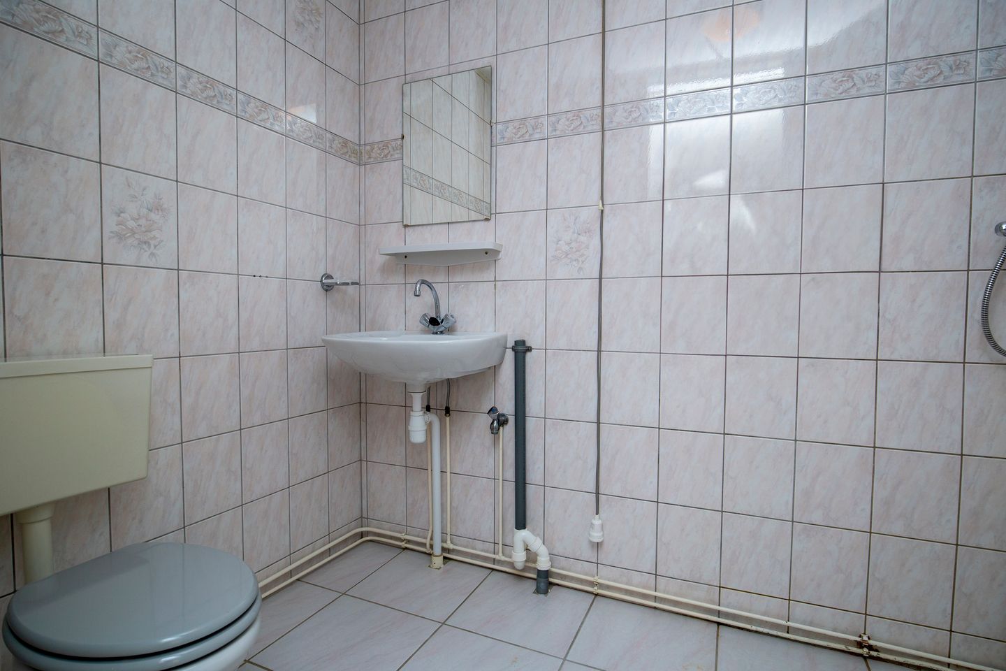 Foto 20 van Palestrina 12