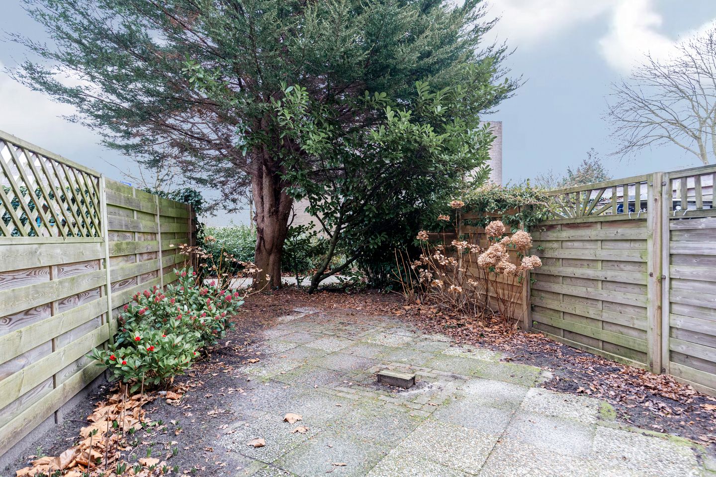 Foto 25 van Palestrina 12