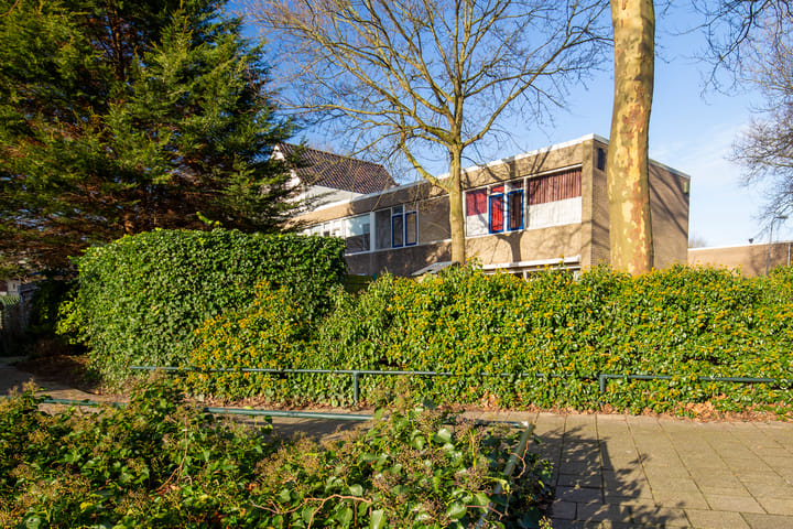 Foto 27 van Palestrina 12