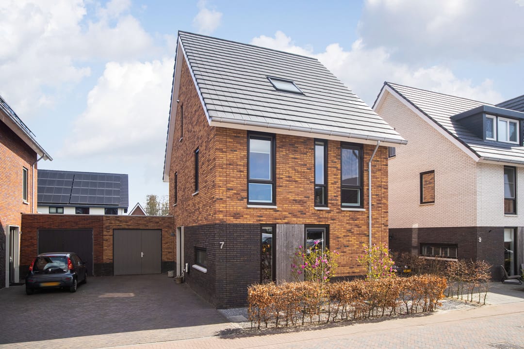 Foto 1 van Waterlelie 7