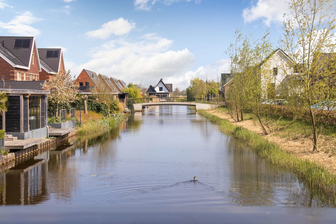 Foto 47 van Waterlelie 7