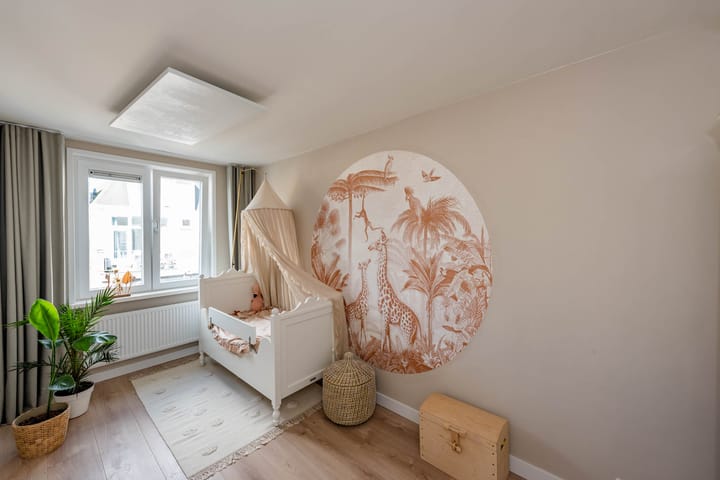 Foto 33 van President Steijnstraat 70