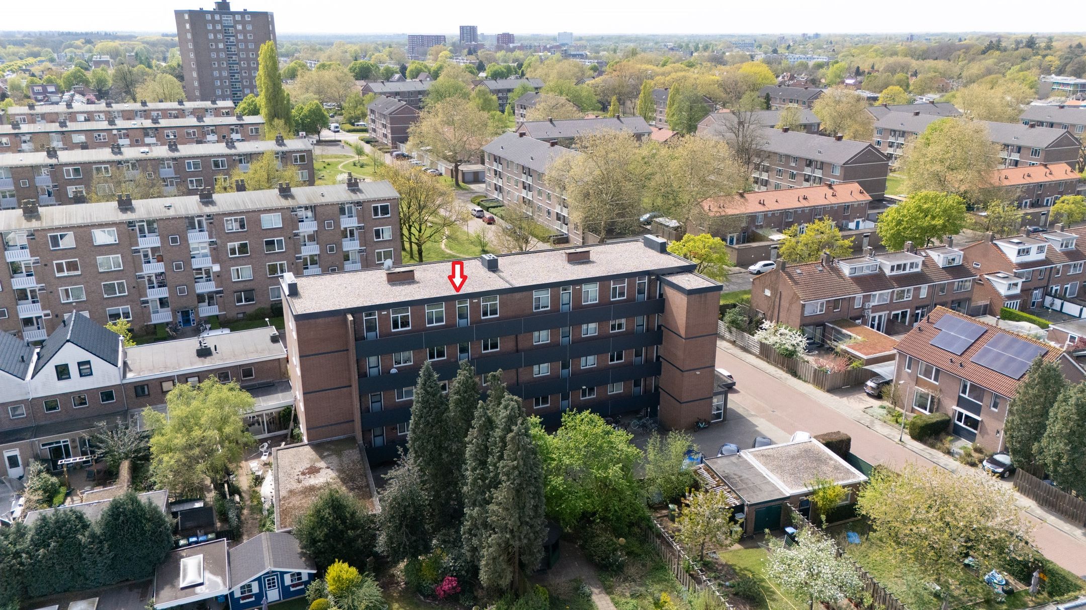 Photo 6 of Hommelstraat 29