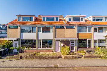 Johannes Molegraafstraat thumbnail