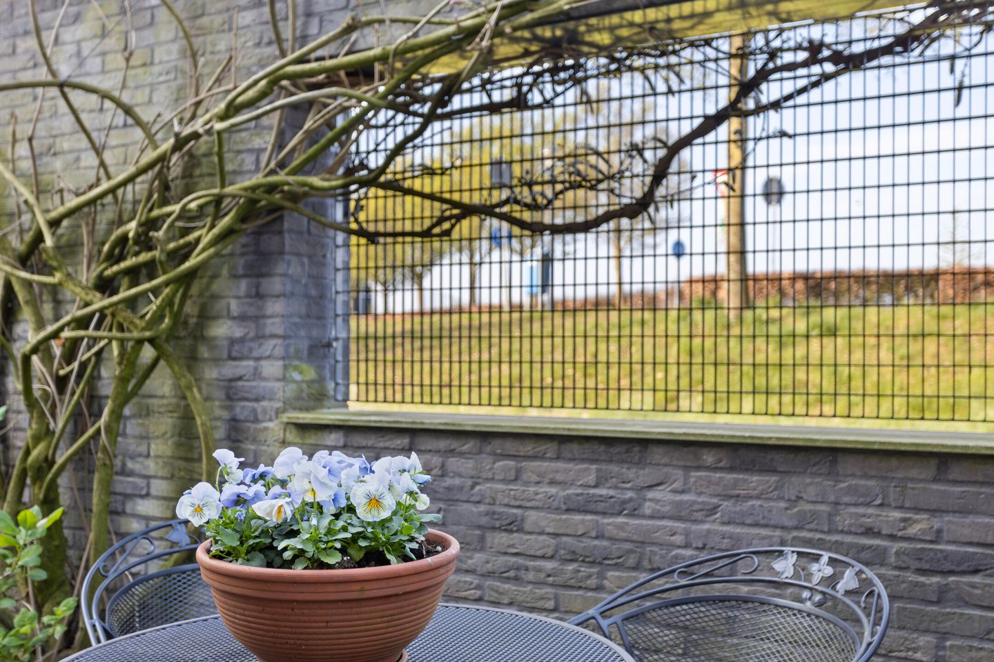 Photo 25 of Grasbaan 226