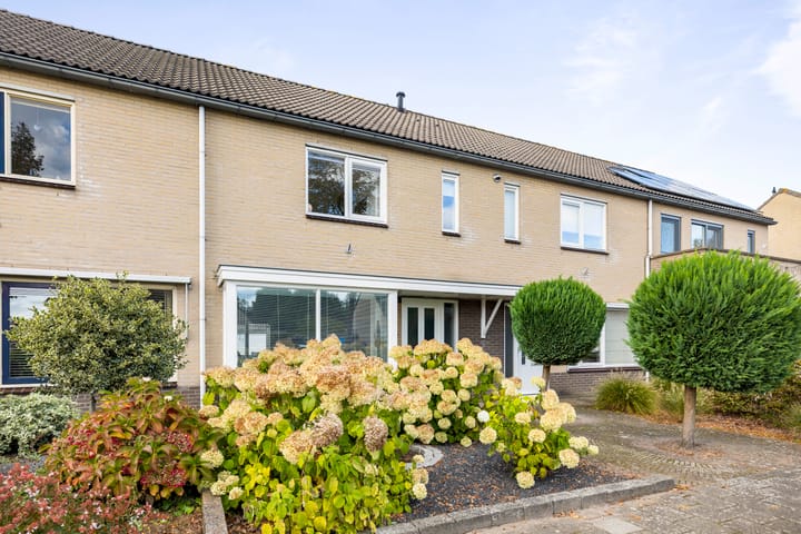 Foto 2 van Anna Bijnsring 168