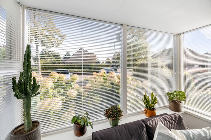 Foto 5 van Anna Bijnsring 168