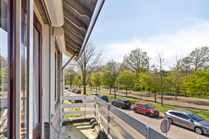 Foto 21 van Scheldelaan 11