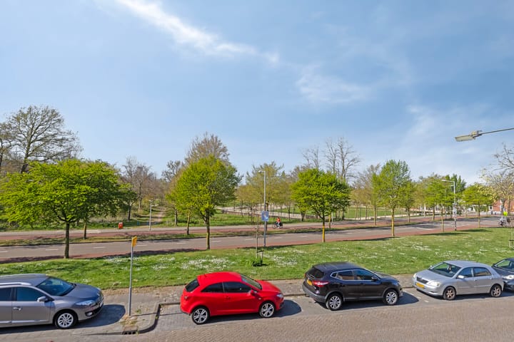 Foto 24 van Scheldelaan 11