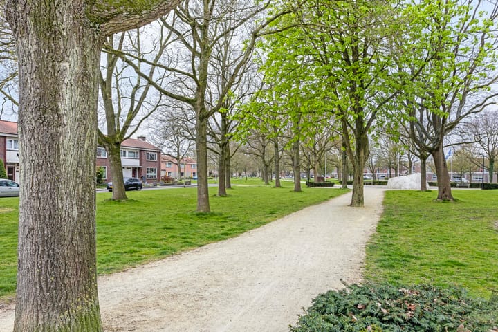 Foto 42 van Zuidsingel 74