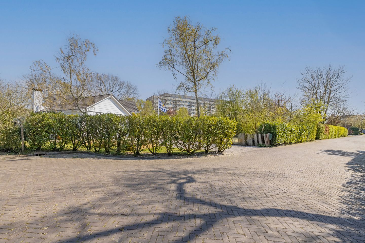 Photo 55 of Asserlaan 15