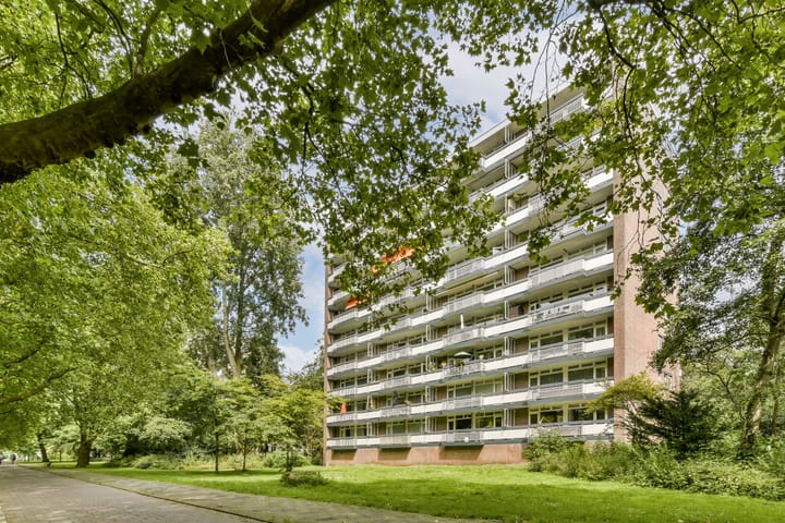 Bekijk foto van Bolestein 286