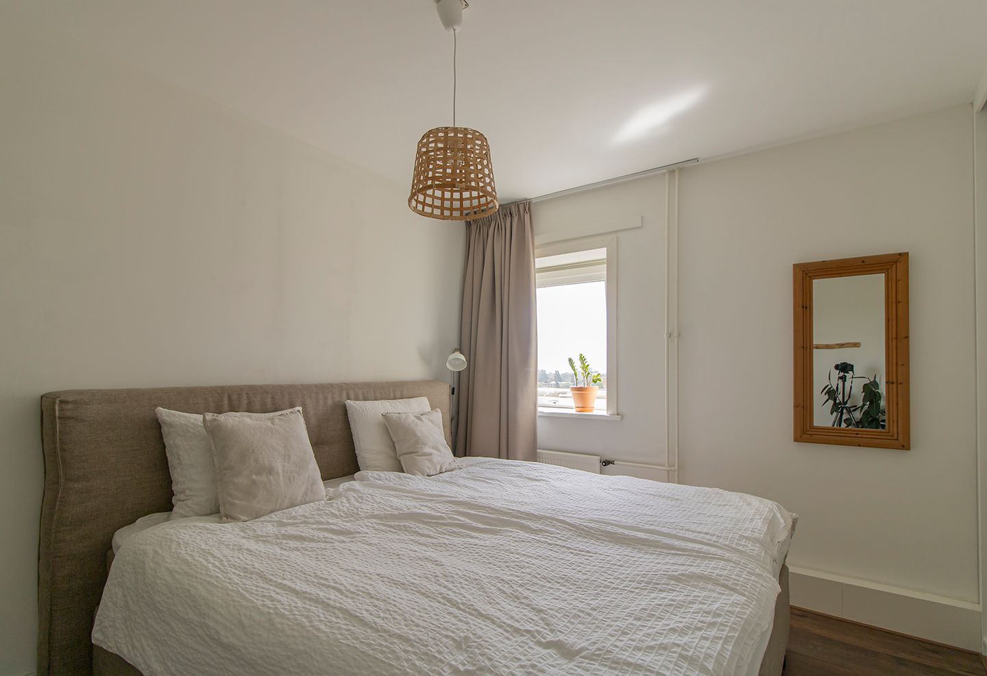 Foto 10 van Bolestein 286