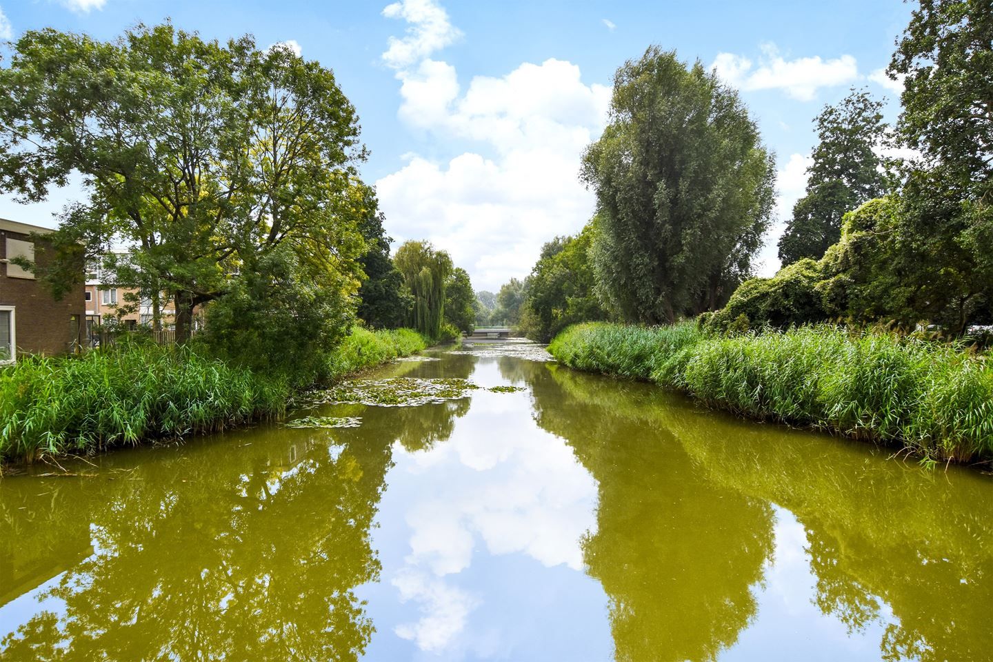 Foto 27 van Bolestein 286