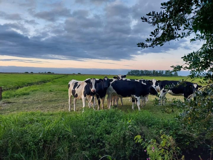 Foto 58 van Herenweg 91