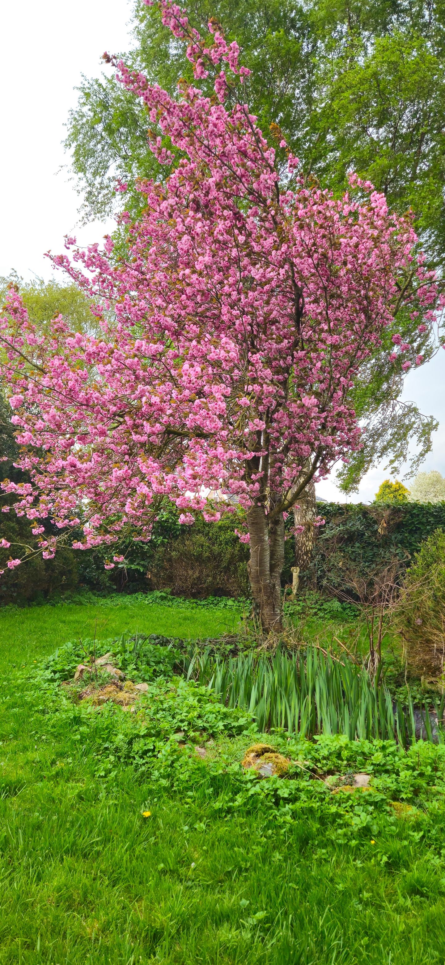 Foto 59 van Herenweg 91