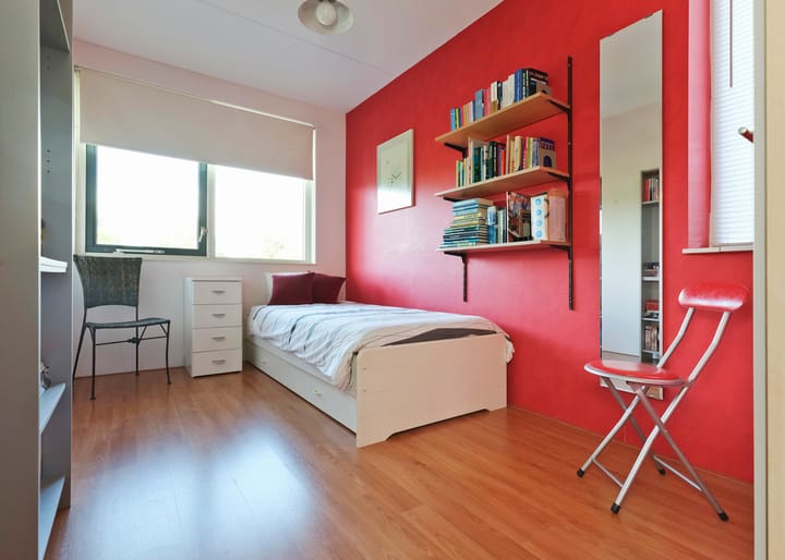 Foto 16 van Alida Buitendijk erf 10