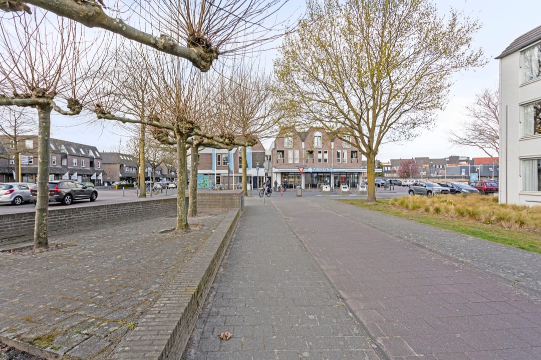 Photo 31 of Vincent van Goghplein 113