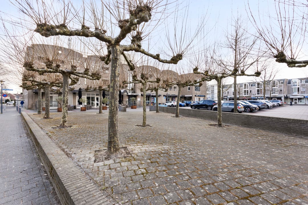 Photo 32 of Vincent van Goghplein 113