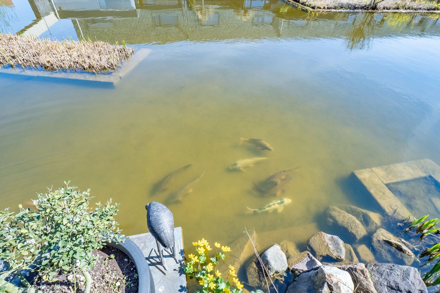 Photo 10 of Sydneystraat 10