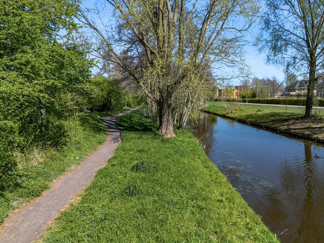 Photo 32 of Anne de Vrieslaan 43