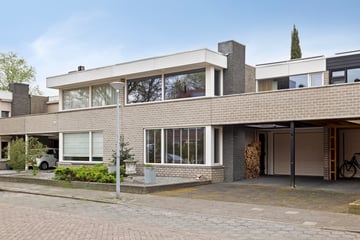 Vioolstraat thumbnail