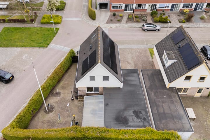 Photo 3 of IJsvogel 81