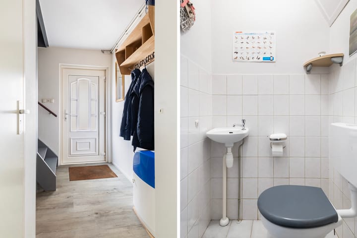 Photo 16 of IJsvogel 81