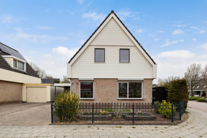 Photo 7 of IJsvogel 81