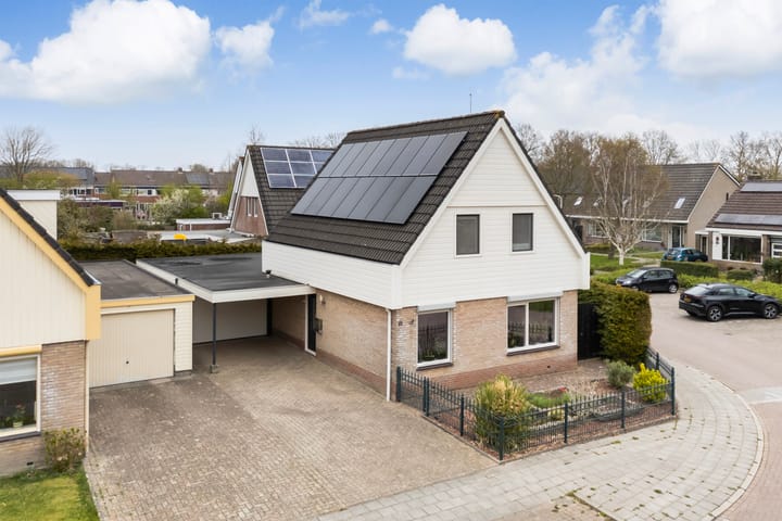 Photo 1 of IJsvogel 81