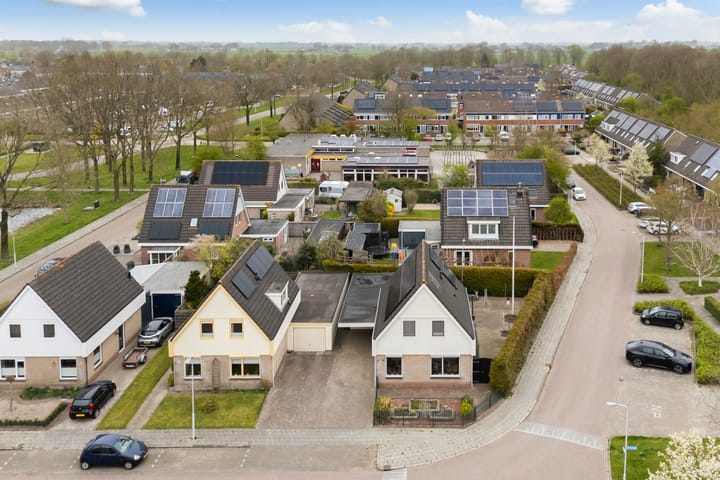 Photo 2 of IJsvogel 81