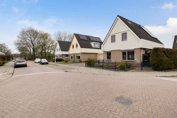 Photo 10 of IJsvogel 81