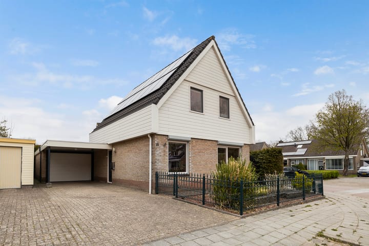 Photo 11 of IJsvogel 81