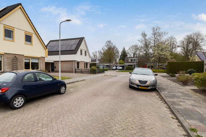 Photo 12 of IJsvogel 81