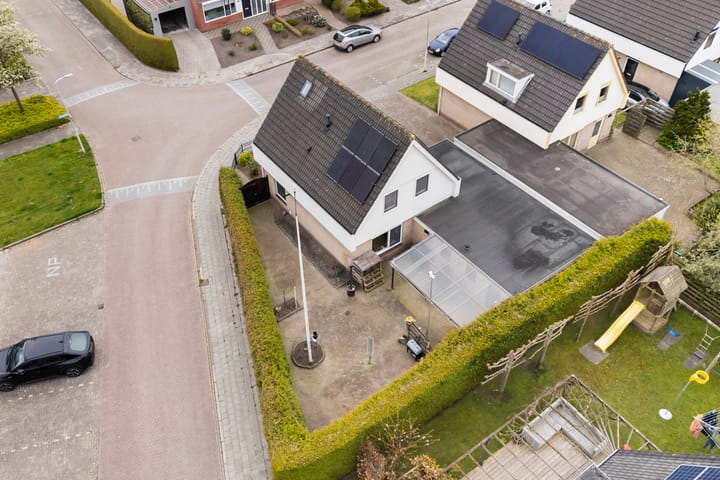 Photo 4 of IJsvogel 81