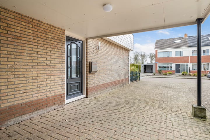 Photo 13 of IJsvogel 81