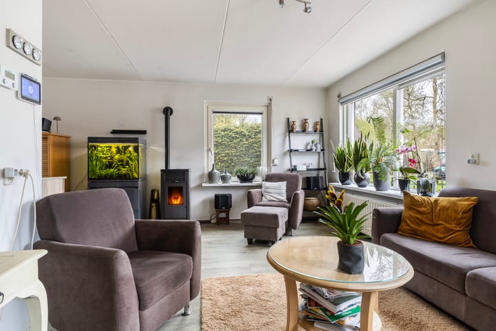 Photo 20 of IJsvogel 81