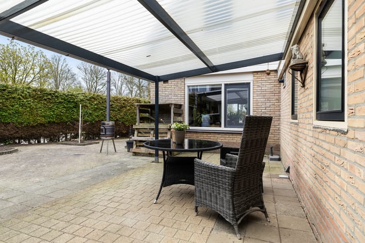 Photo 31 of IJsvogel 81