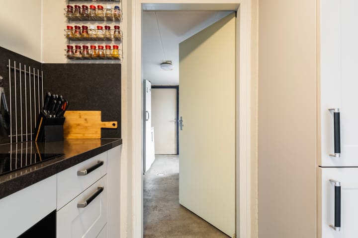 Photo 28 of IJsvogel 81