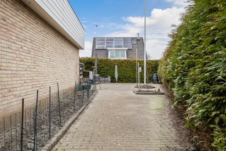 Photo 32 of IJsvogel 81