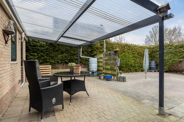 Photo 37 of IJsvogel 81