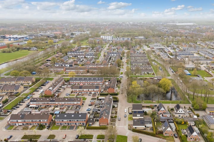 Photo 52 of IJsvogel 81