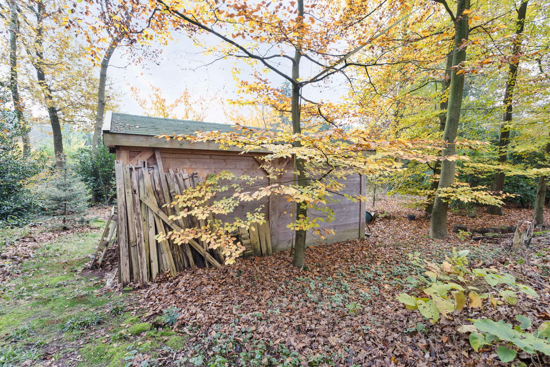 Foto 56 van Irenelaan 10